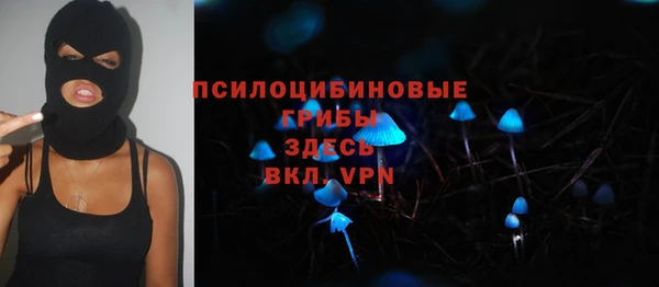 амф Алзамай