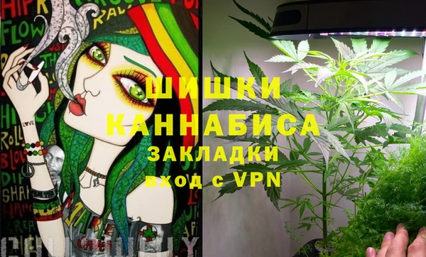 ГАЛЛЮЦИНОГЕННЫЕ ГРИБЫ Алексеевка
