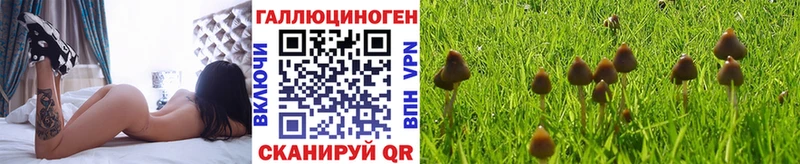 Псилоцибиновые грибы MAGIC MUSHROOMS  кракен вход  Ярцево 